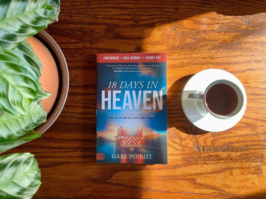 18 Days in Heaven: I Left My Body. I Met Jesus. | Gabe Poirot